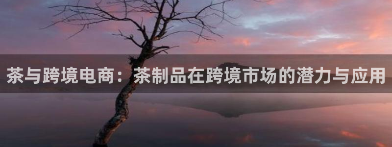龙八国际平台真人游戏