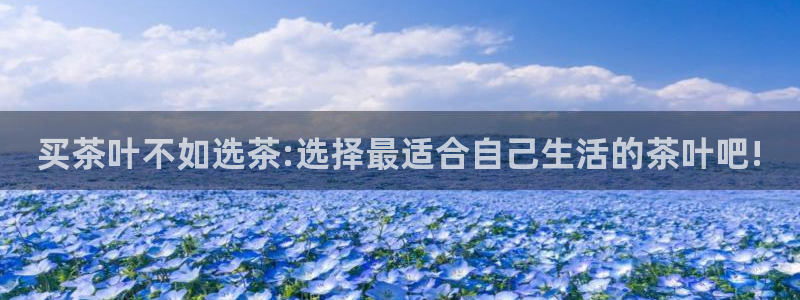 龙八国际app客户端下载安卓