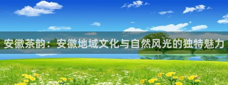 龙八国际