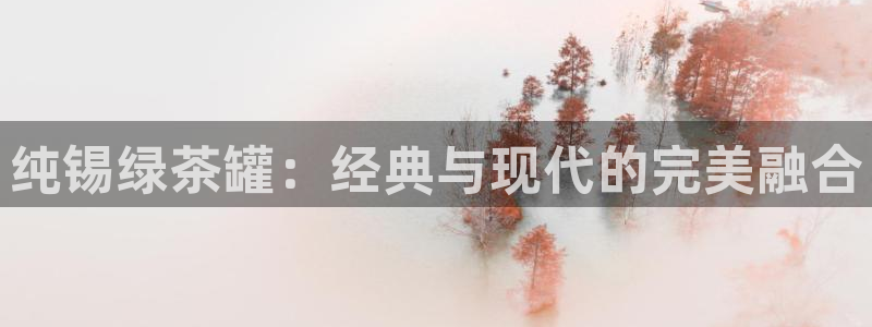 龙八国际棋牌