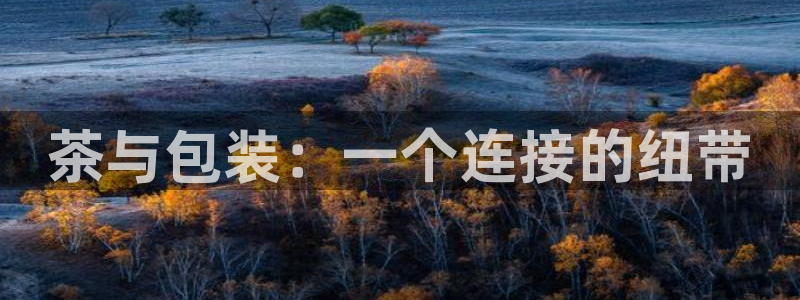 龙八国际是干什么的