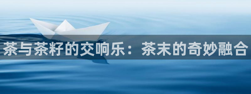 龙八国际服官方