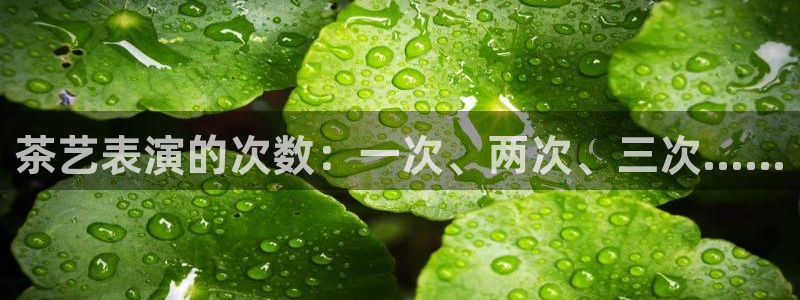 www.龙八国际