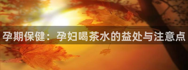 举报龙八国际