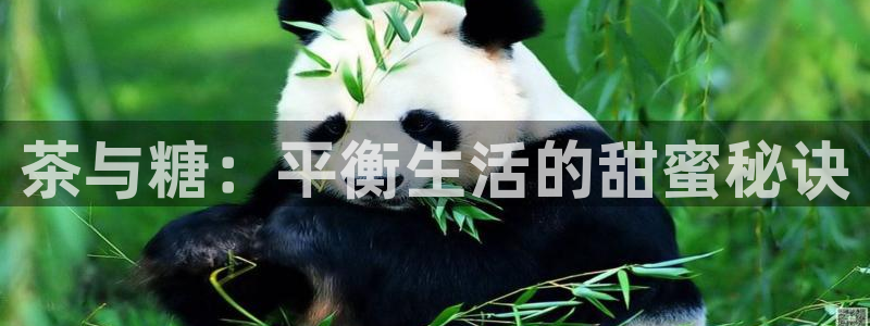 龙八国际app下载