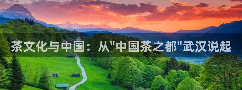 龙八国际app安卓