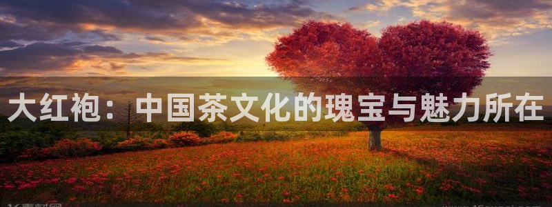 龙八国际娱乐官网手机