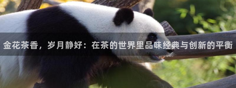 龙八国际pt