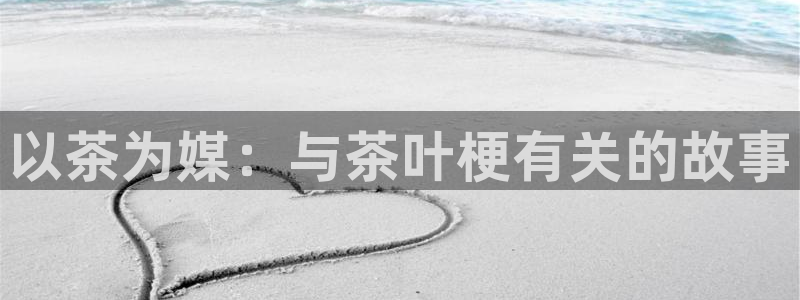 龙八国际代理