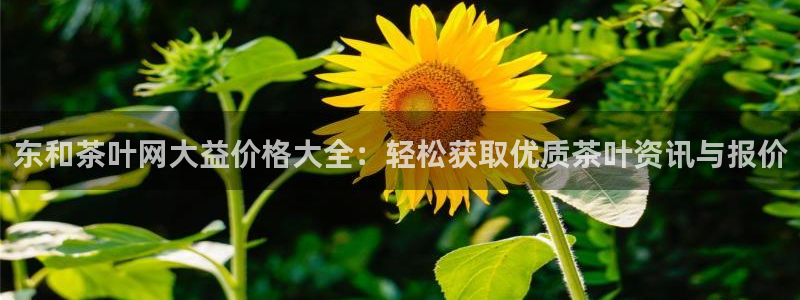 龙八国际娱手机