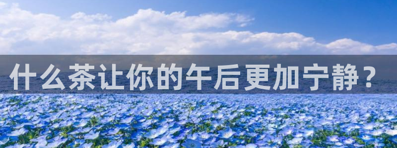 龙八国际优惠