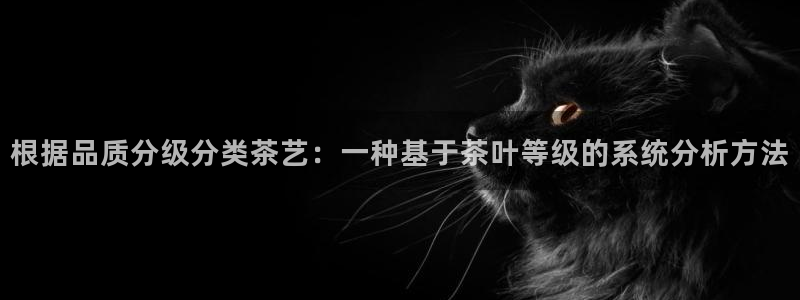 大英龙八国际