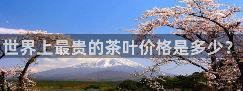 龙八国际app手机端