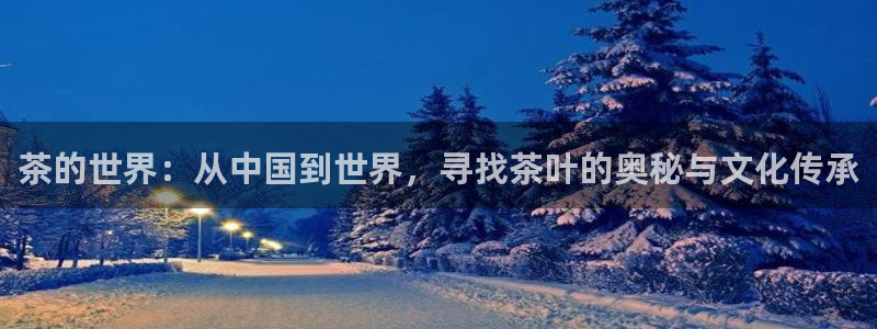 龙八国际游乐城