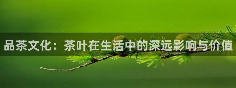 龙八国际黑钱