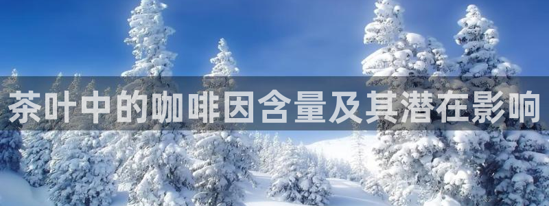龙八国际娱乐中心