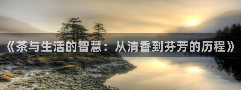 龙八国际登录