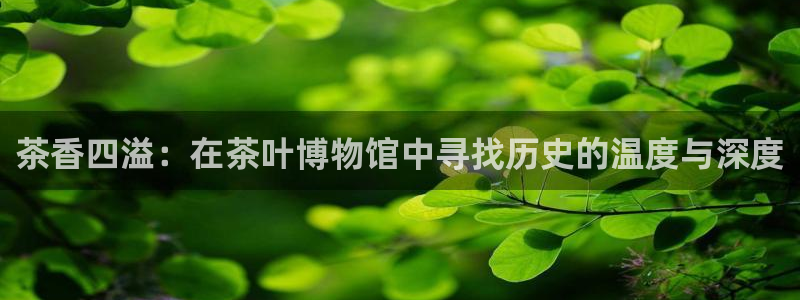龙八国际娱乐网