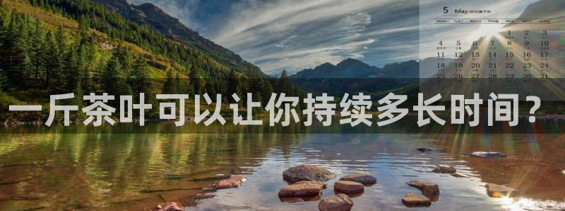 龙八国际是个什么游戏机