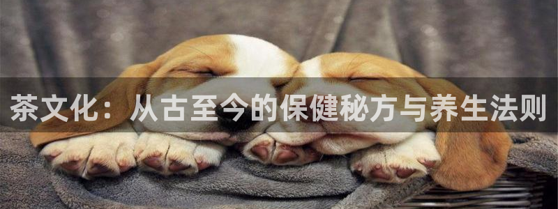 龙八国际棋牌
