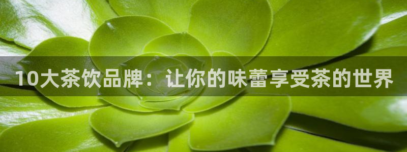 龙八国际集团