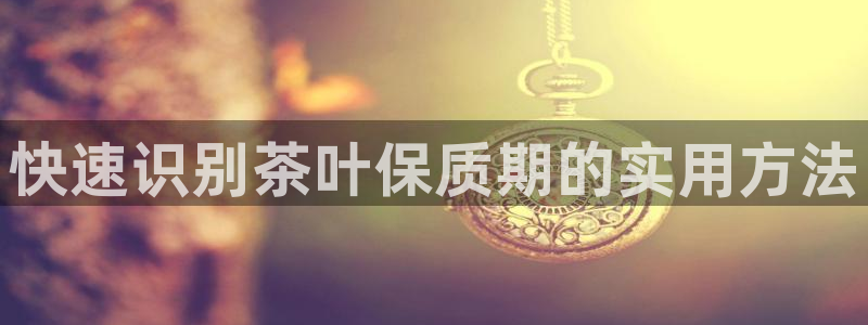 龙八国际集团有限公司
