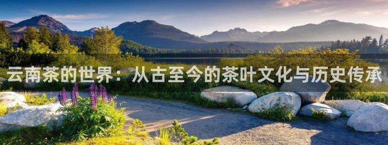 龙八国际网页版