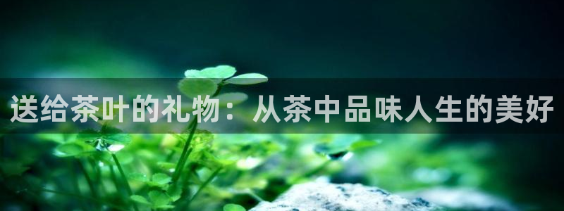 龙八国际pt客户端下载