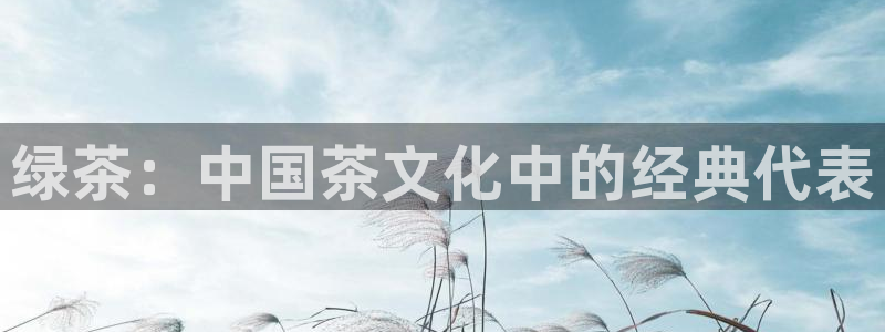龙八国际l8520