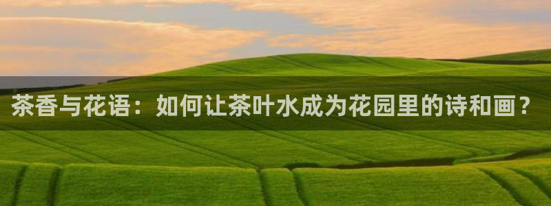 龙八国际黑不黑