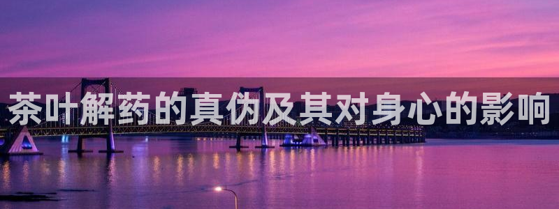龙八国际手机版下载安装app