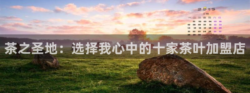 头号玩家龙八国际