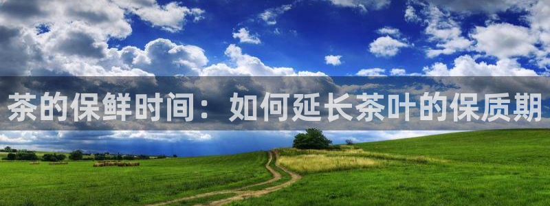 龙八国际88