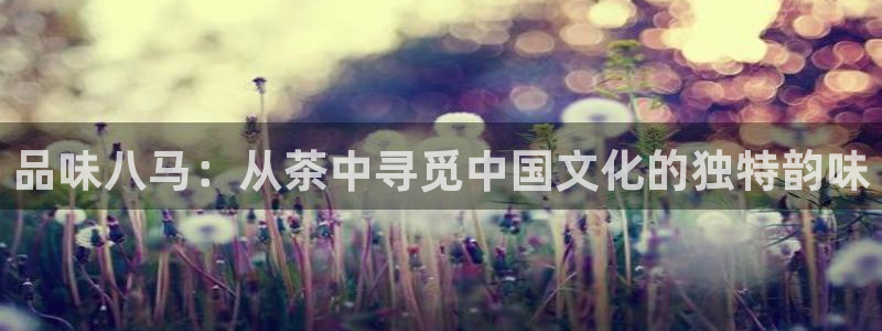 龙八国际最新版本下载