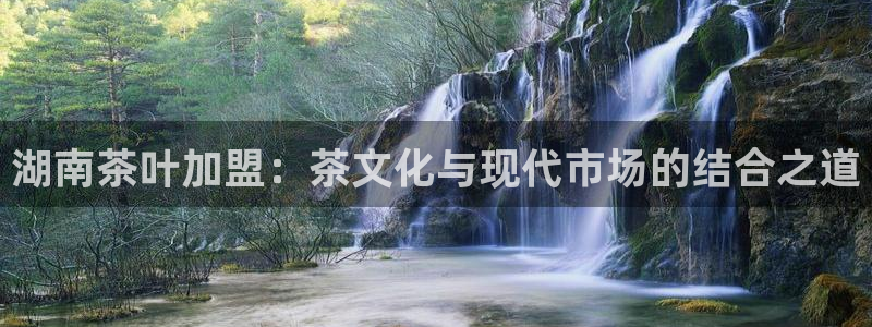 龙八国际pt娱乐老虎机