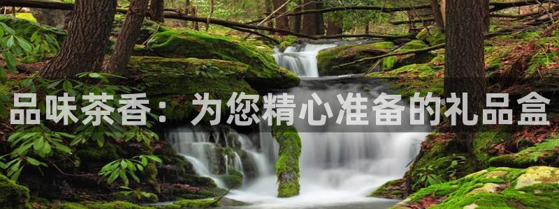 龙八国际官方登录