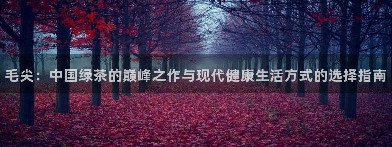 龙八国际彩金购买