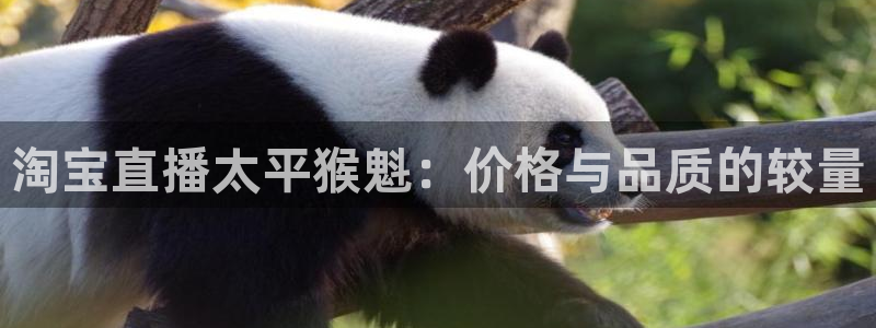 龙八国际娱乐官网注册