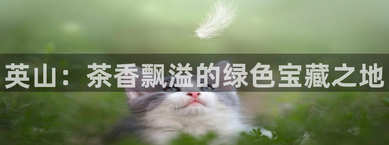 龙八国际兑换码