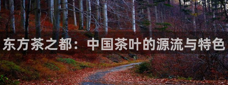 龙八国际APP客户