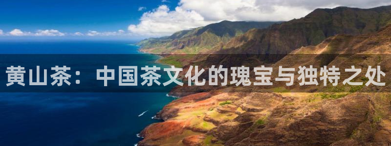 龙八国际手机版登录