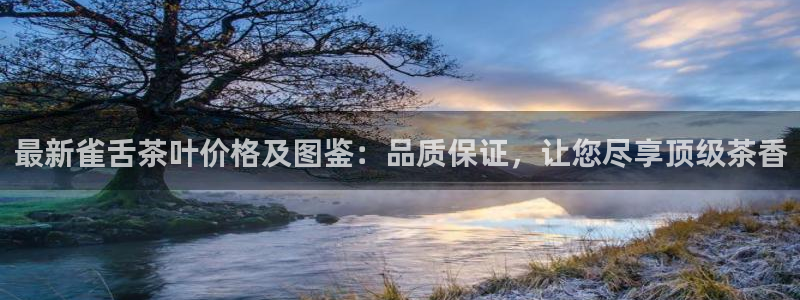 龙八国际app是什么