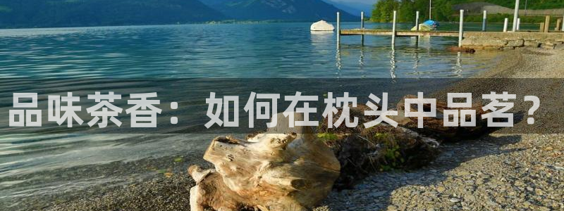 龙八国际娱乐官网手机