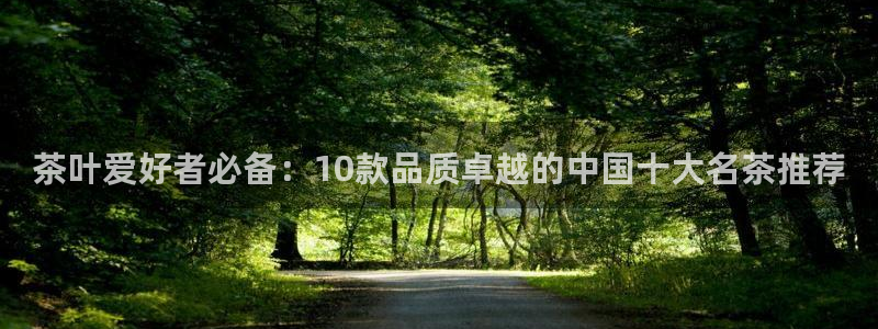 龙八国际网b48点tv