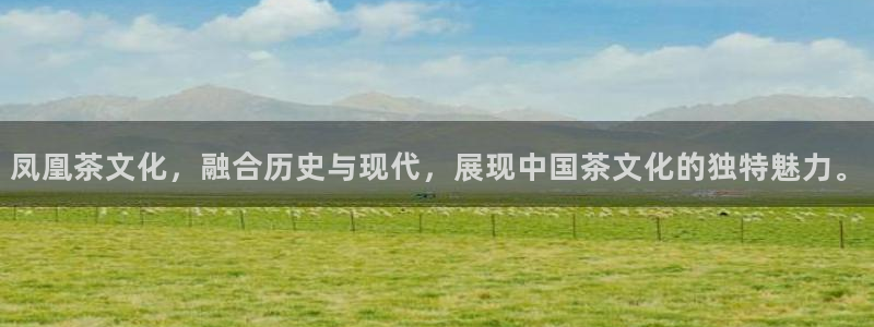 龙八国际网易云音乐