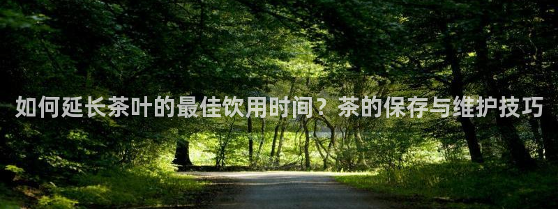 龙八国际害死多少人