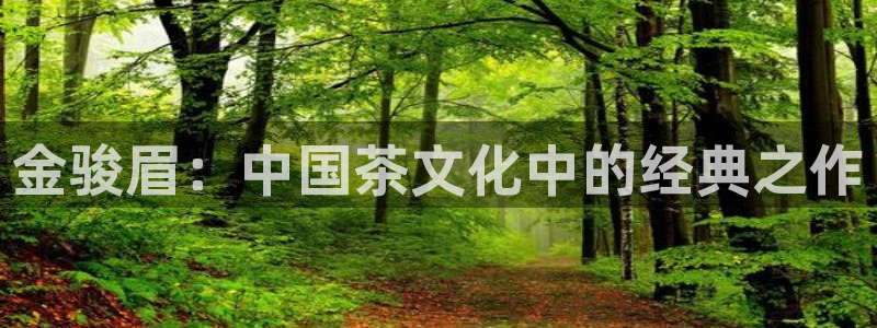 龙八国际最新版本下载