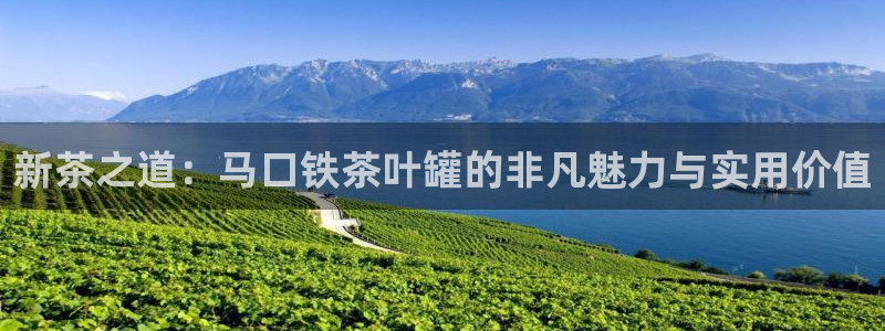 龙八国际网页版本