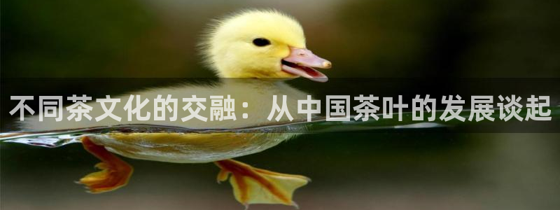 龙八国际国际娱乐官网