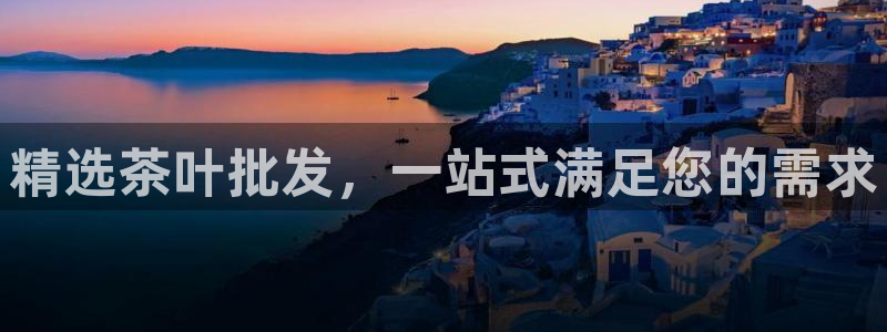 龙八国际手机版下载